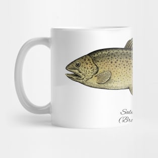 Salmo Trutta Mug